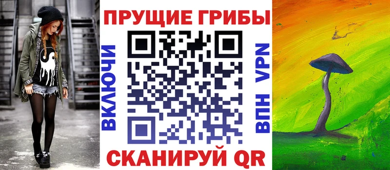купить наркотик  Скопин  Галлюциногенные грибы GOLDEN TEACHER 